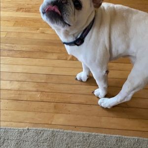 Meet your Posher, John